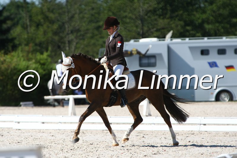 109M7042_Merlins Champion_Dressur L_Mannschaft.JPG